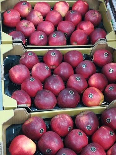 Manzanas rojas