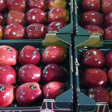 Manzanas 