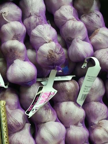 Ajo morado