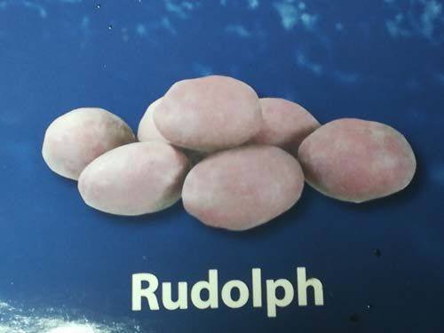 Rudolph