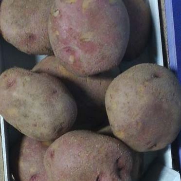 Patatas en A Coruña