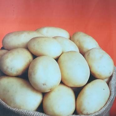 Patatas grandes