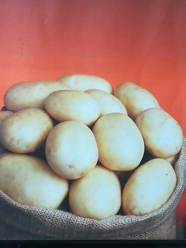 Patatas grandes